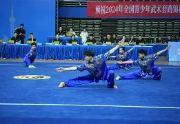 体操选手魏纪中在全国锦标赛上夺得桂冠，称霸全场的简单介绍